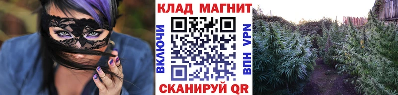 Продажа наркотиков Бабушкин Кокаин  Меф  blacksprut ссылка  Каннабис  ГАШ 