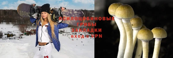дурь Лиски